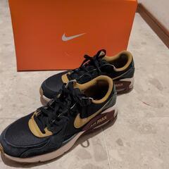 NIKE Air MAX エアマックス　29cm 限定モデル