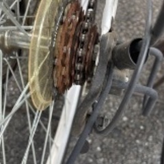 自転車　白の画像