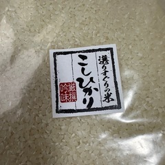 米農家直送　令和6年産　富山県産こしひかり1.8kg  　202...