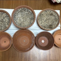 【三軒茶屋で引き渡し】陶器製植木鉢 7個セット（最大22×22×...