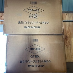 光る！　パイナップルボトルの画像