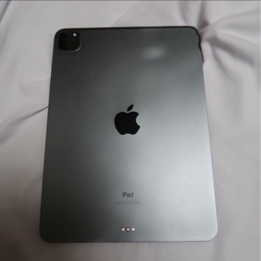 iPad Pro第2世代　11インチ　256ギガ　Wi-Fiモデル　Apple