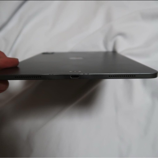 iPad Pro第2世代　11インチ　256ギガ　Wi-Fiモデル　Apple