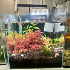 水槽セット 