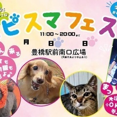 豊橋駅南口広場　出店者大募集✨