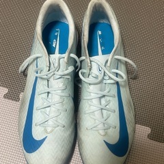 Nike Mercurial Vapor Academy TF ...