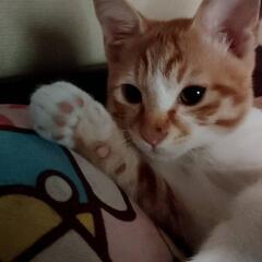 家族みたいな関係(*>ω<*)