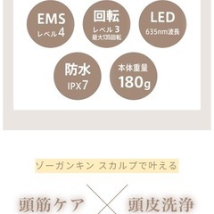  ZoGANKIN スカルプ の画像