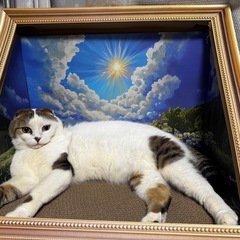 猫 爪とぎ 絵画風 映えの画像