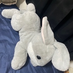 フレミッシュジャイアントラビット
