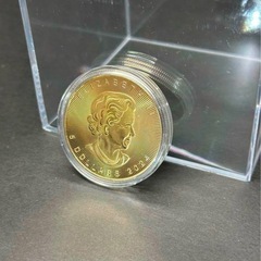 記念コイン・記念硬貨（早い者勝ち❗️】カナダ特製コイン 2024年 プルーフの画像