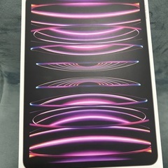 iPadPro11　 