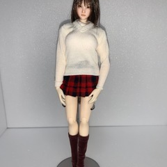 再募集　大幅値下げ　1/6ドール　2点セットの画像