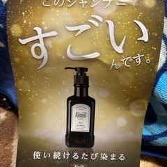 新品未開封白髪染め カラーシャンプー【ジムジルカラーシャンプー】の画像
