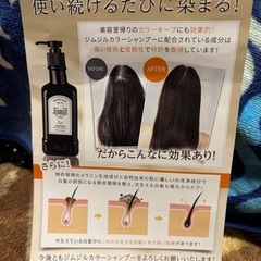 新品未開封白髪染め カラーシャンプー【ジムジルカラーシャンプー】の画像