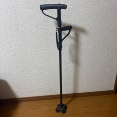 杖　自立可能
の画像