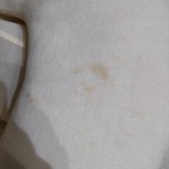 ミッフィー　授乳クッションの画像