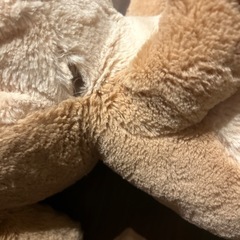 うさぎ　ぬいぐるみ　の画像