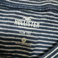 ホリスターTシャツの画像
