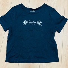 ホリスターTシャツ