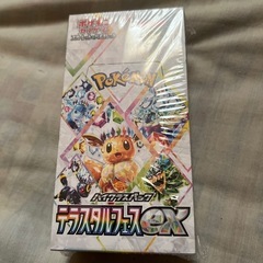 【早朝割引】テラスタルフェスex