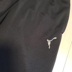 PUMA半ズボンの画像