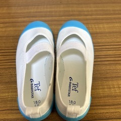 moonSTAR Tef キッズ用　上履き 18.0cm 使用1日のみ