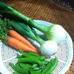 【無添加中心】ガチじゃない'’なんちゃって'’食生活を意識…