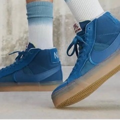  NIKE SB ZOOM BLAZER MID PLM US7 25cmの画像