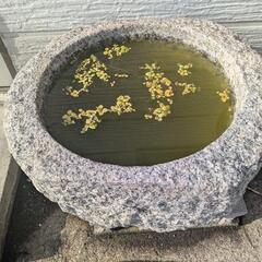石臼の画像