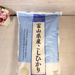 令和6年5月上旬精米*富山県産こしひかり*5kg  