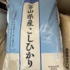 こしひかり　10kg