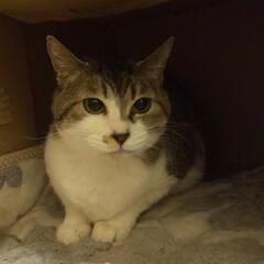 幸せになってほしいです☆