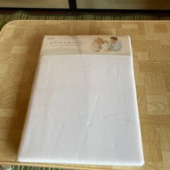 トゥルースリーパーのオリジナルカバー