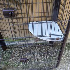 猫　ペットゲージの画像