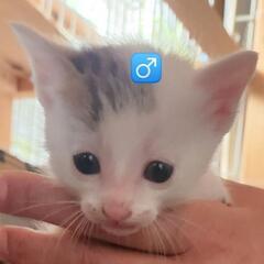4月30日生まれ^ >ᴗ<^