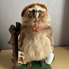 たぬき剥製、縁起物です！の画像