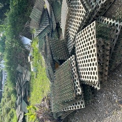 ターフパーキングの画像