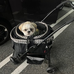 ペット用　カート