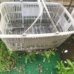 買い物カゴ