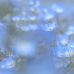 本日　北鎌倉で！📸 - 友達