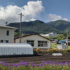 不動産売地、塩尻市・宅地転用後売却(直接取引) - 塩尻市