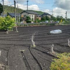 不動産売地、塩尻市・宅地転用後売却(直接取引) - 土地販売/土地売買