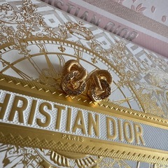Dior イヤリング 両耳用 GP×ラインストーン ゴールド