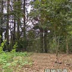 【青塚海岸まで2.3㎞】茨城県鹿嶋市和_売地_320万円/210坪 − 茨城県