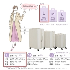 【新品】キャリーケース スーツケース Lサイズ キャスター付き トランクケース tsa キャリー 軽量 大容量 360度回転 sg223-Lの画像