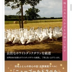羽毛布団の画像