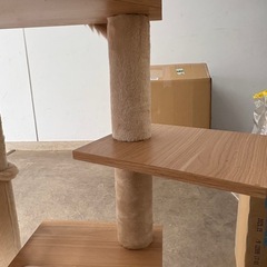 キャットタワーの画像