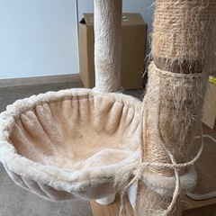 キャットタワーの画像