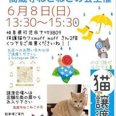 ねこの譲渡会【岐阜県可児市】